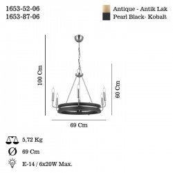 GOOSE 6 LI ANTIK LAK AVIZE 6XE14
