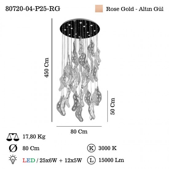 LACAPO 25 LI LEDLI SARKIT 3000K 310W