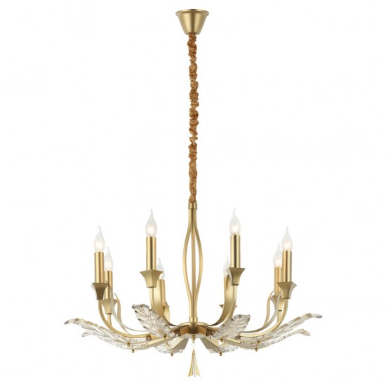 DALILA 8 LI ALTIN AVIZE 8XE14