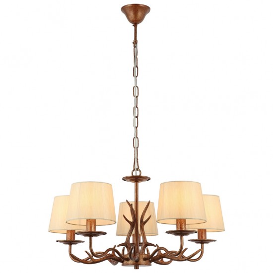 FARIA 5 LI KAHVE AVIZE 5XE14